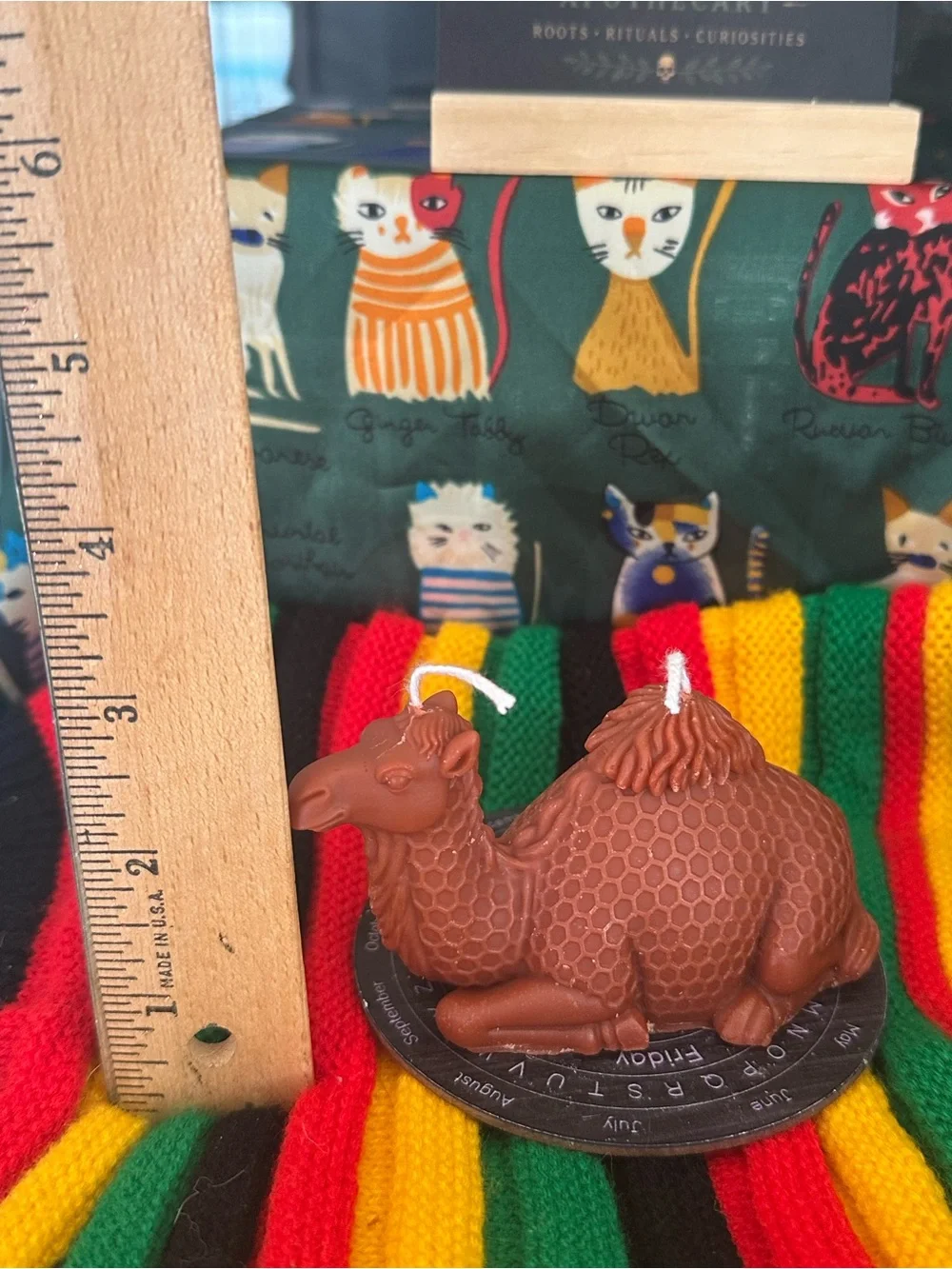 Camel Candle – Double Wick